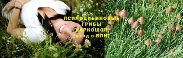 первитин Володарск