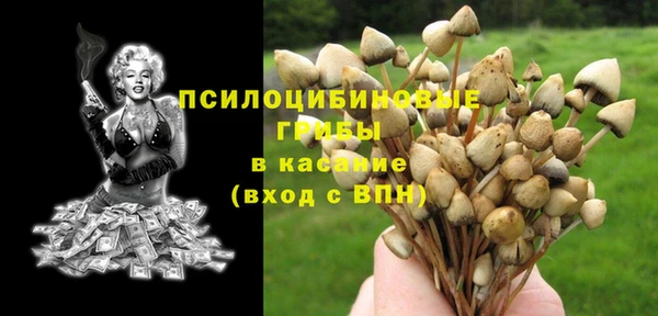 первитин Володарск