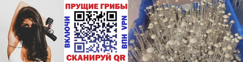 Псилоцибиновые грибы Magic Shrooms  Зима 